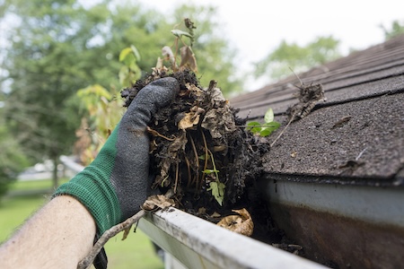 Gutter Cleaning vs. Gutter Whitening: What’s the Difference and When Do You Need Each?